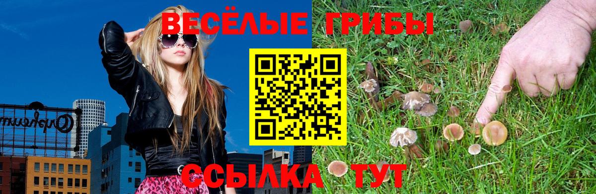 Псилоцибиновые грибы мицелий Подольск